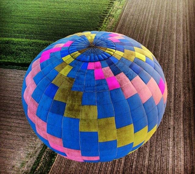 campos de color
